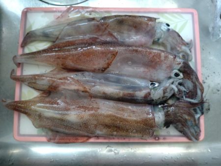 ビギナーズラック2