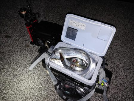 タチウオジギング