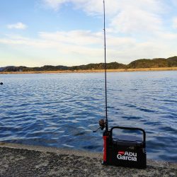 尺鯵狙いでライトワインド