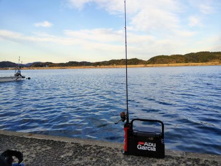 尺鯵狙いでライトワインド