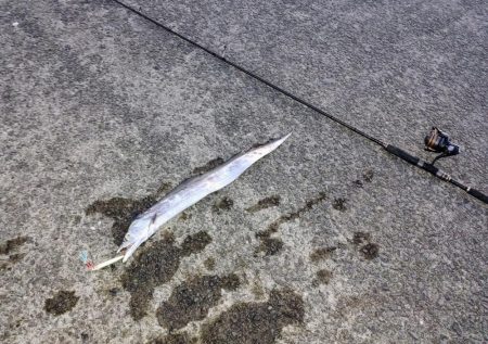 タチウオジギング＆ワインド