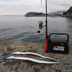 太刀魚ジギング