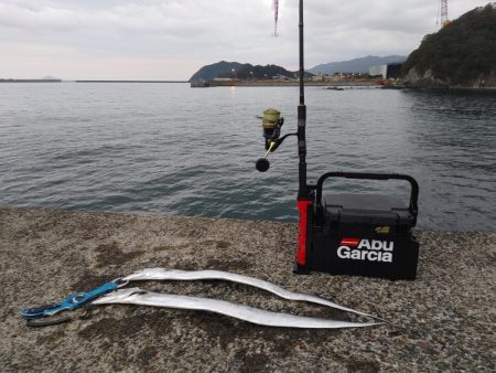 太刀魚ジギング