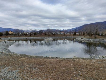 やっぱり渋かった!