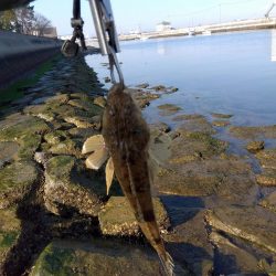 真冬のフラット狙い…なのに…