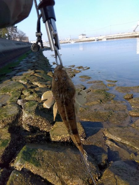 真冬のフラット狙い…なのに…