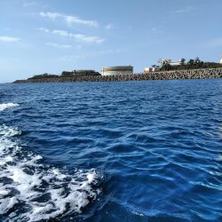 フカセ‥最高ですネ・・