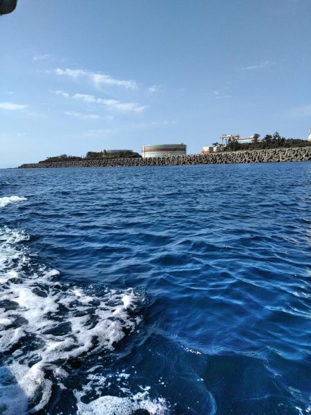 フカセ‥最高ですネ・・