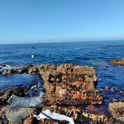 フカセ‥最高ですネ・・