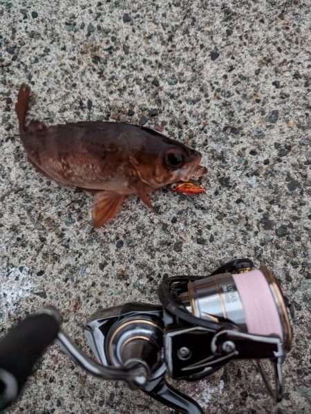 デイメバリング