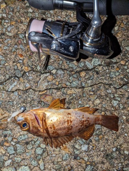 ナイトメバリング