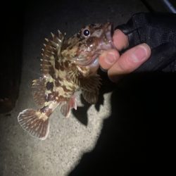 自作ワームでガシリング