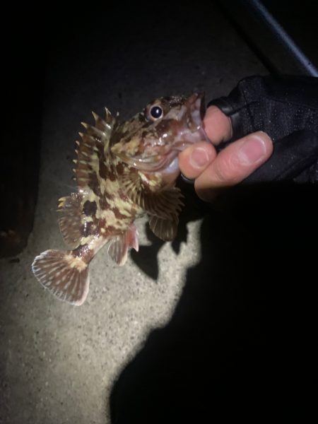 自作ワームでガシリング