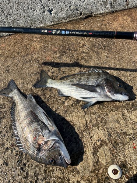 大三島　フカセ釣り