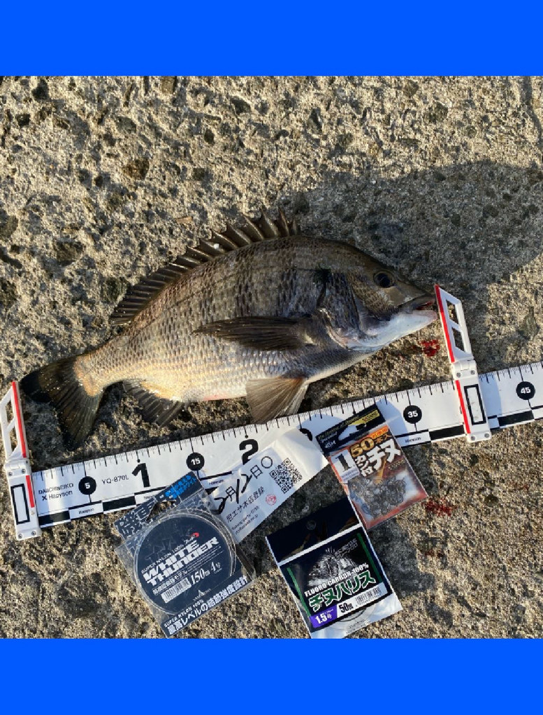 風も無くベタ凪の暖かい日