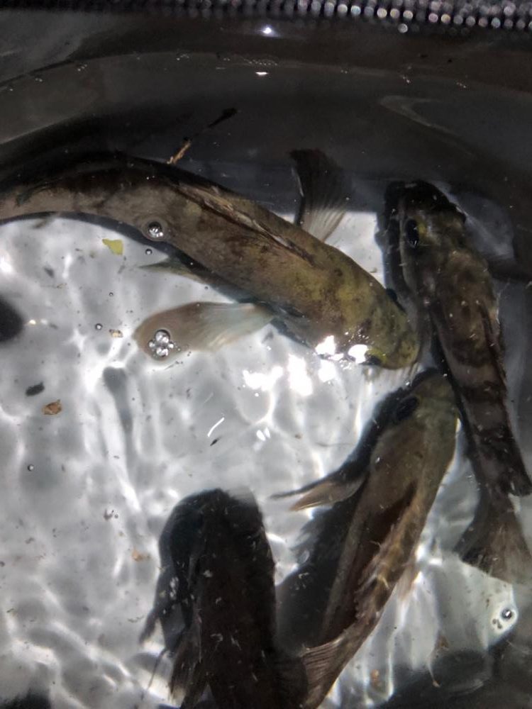 久々の友人との釣行