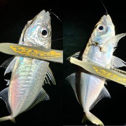 ボートアジング