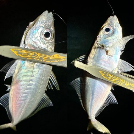 ボートアジング