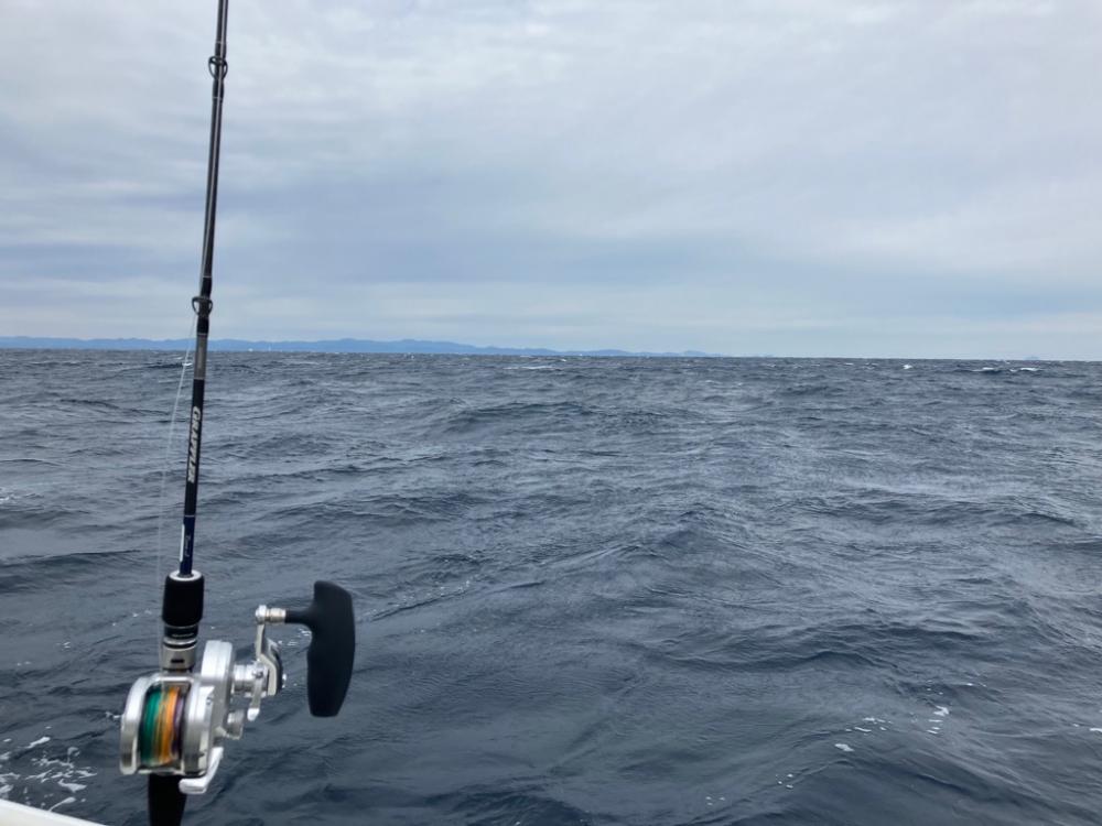 今シーズン4回目のトンジギ