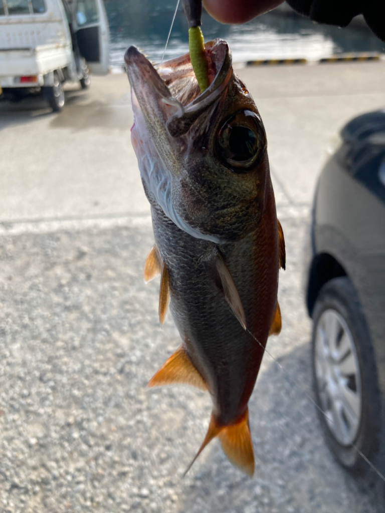 和歌山ランガン