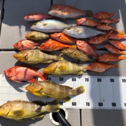 寒波以降の厳しさ脱出か