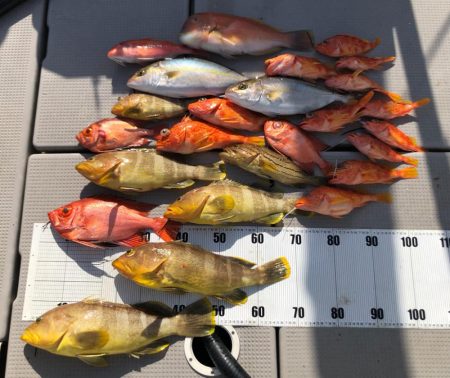 寒波以降の厳しさ脱出か