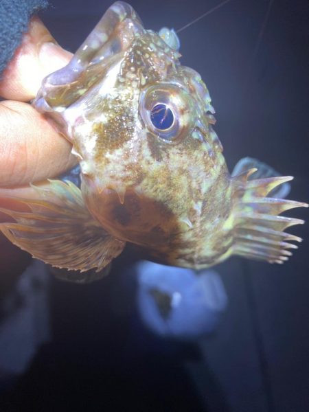 人も寒く釣果も寒く