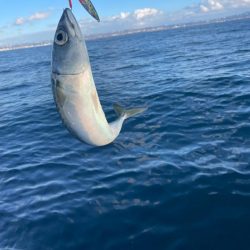 寒鰤ジギング⋆*🐟