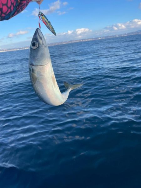 寒鰤ジギング⋆*🐟