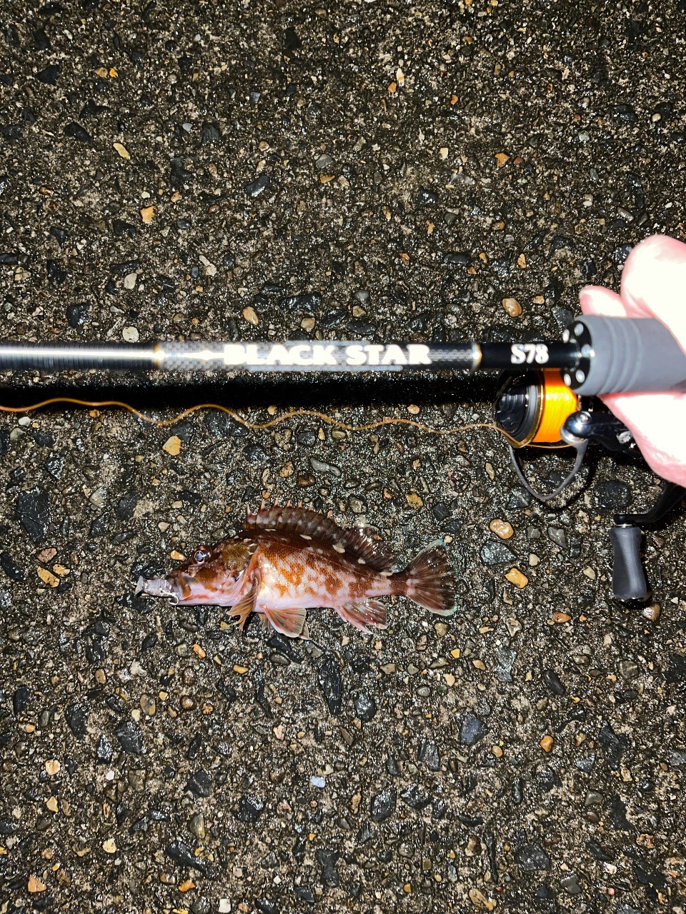 23メバリング日記3