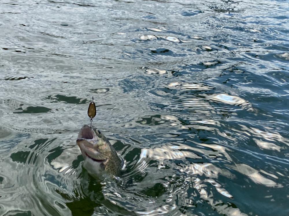 かめプーはよく釣れます。