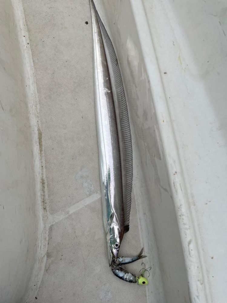 タチウオテンヤ