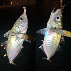 ボートアジング