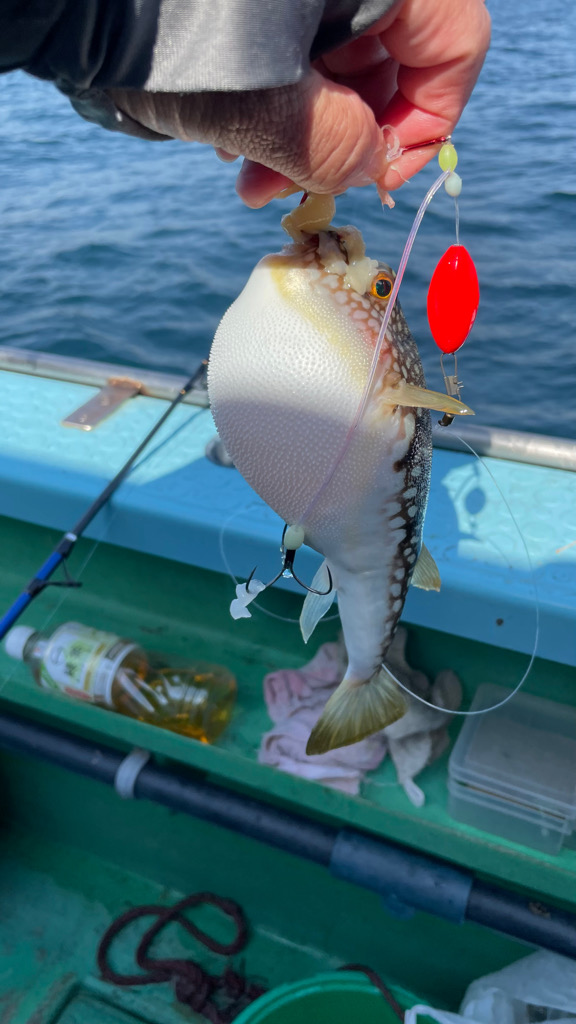 アタリが少ない