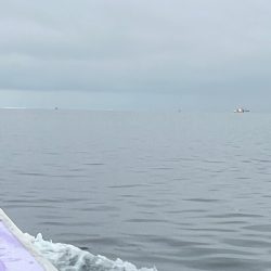 オフショアジギングin羅臼