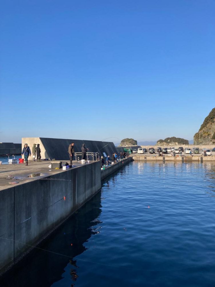 サビキにハマりつつある