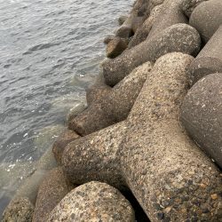 帰ってきた穴釣りNo.4