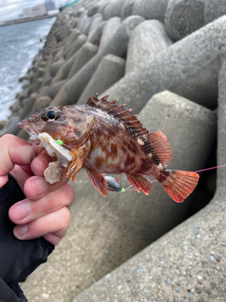 帰ってきた穴釣りNo.6