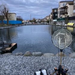 釣食浪漫 ～釣って食べて家庭円満～