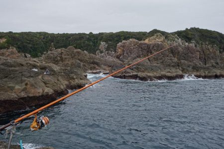 2日連続磯渡しで…