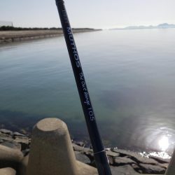 寒ボラのメッカへ行ってみると、、