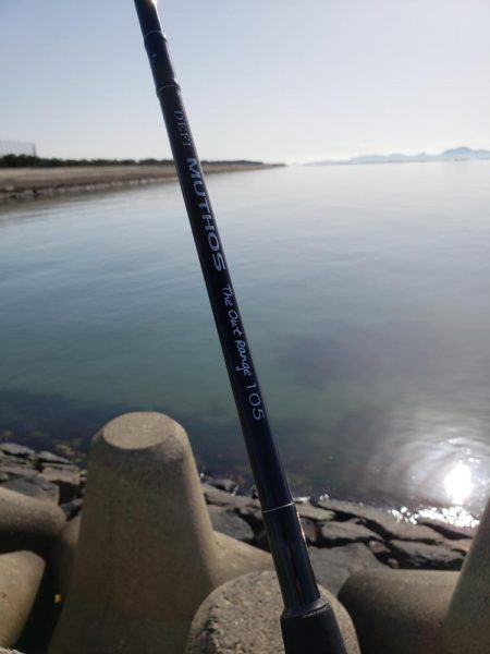 寒ボラのメッカへ行ってみると、、