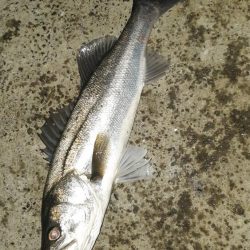 1週間ぶりに行ってきました。