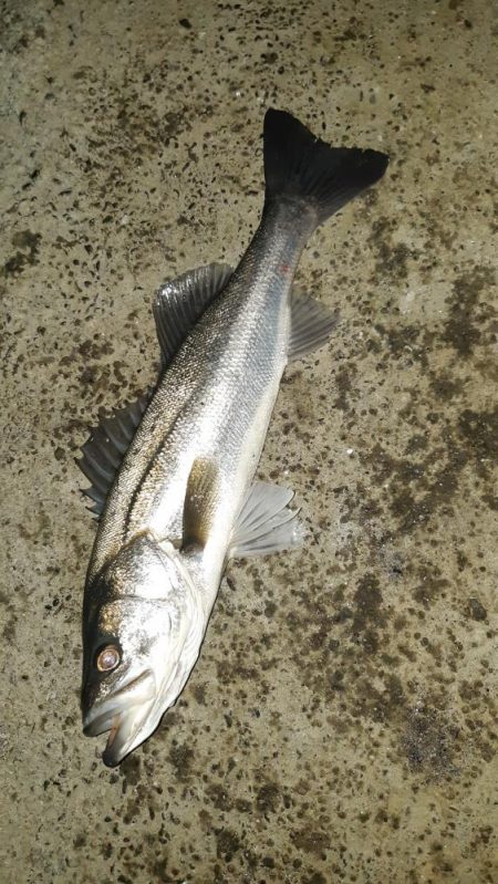 1週間ぶりに行ってきました。