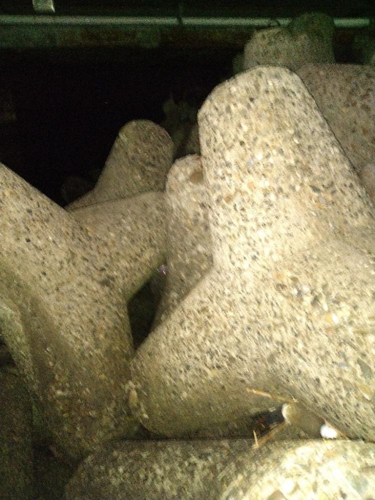 ちょい釣り20230203