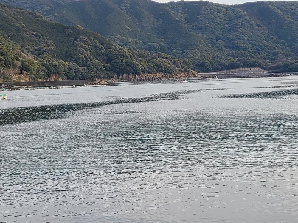 真冬の五目釣り達成！