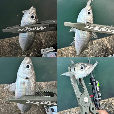 やっぱりスプリット