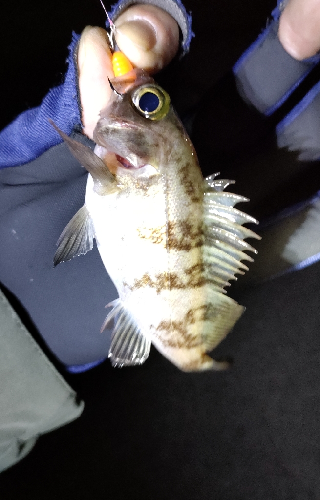 上げ潮の一瞬だけ