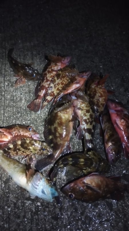 唐揚げ食べたい