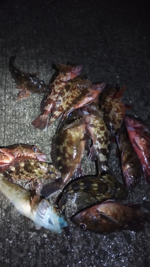 唐揚げ食べたい